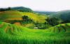 Bali Government Bans Development of Tourism Facilities on Productive Land