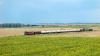 Bulgarian railway to North Macedonia goes to tender