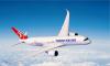 Turkish Airlines Resumes Flights to Aleppo
