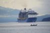 I Went to the Woods: The original Southeast Alaska cruise