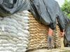 Bangladesh to buy 220,000 tons wheat from US in bid to cool tariffs, official says