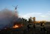 EU climate goals at risk as ailing forests absorb less CO2, scientists say