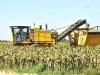 Food for Thought: Agriculture quiz reveals vastness of industry in Chatham-Kent