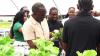 Hydroponic Facility Designed to Attract Young Agriculturists