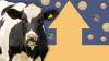 Weak sales performance for small businesses except for agricultural sector - Xero