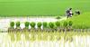 Smart water, secure food