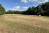 Lac La Biche County declares agricultural state of emergency due to drought