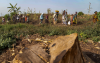 How DRC's oil push could affect climate change