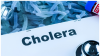Global cholera deaths rose by 50% in one year – WHO