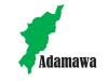 Adamawa Launches 5-Day Multi-Hazard Risk Assessment Workshop to Prevent Disease Outbreak, Floods