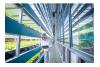 Schneider Electric: Vertical farming – using digitalisation to mitigate food shortages