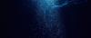 Investors Seem Ready To Go All-In on Deep Sea Mining