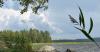 Thunderstorms rumble Finland as heat goes on