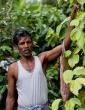 Espresso Diplomacy: Guyana Signs Bold Agriculture Deal With DR.