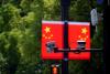 No passports, no study abroad: China limits public employees’ travel