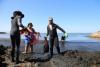 Pacific algae invade Algeria beaches, pushing humans and fish away