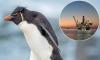 SMALL CAP MOVERS: Rockhopper seeks $140m for Falkland's offshore oil production push