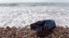 New Report Highlights Plastic Pollution as a Grave and Growing Danger to Health and Announces an Independent, Health-Focused Global Monitoring System