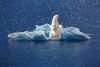 Antarctica’s tourism faces high levels of pollution