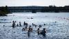 Reindeer suffer as Finland swelters in record heatwave