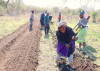 Climate smart agriculture: Successful scaling of trainers, community-based farmers