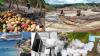 Dominica’s 2025–2026 budget targets 4,000 jobs and expanded agricultural investment