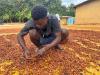 Ivory Coast vows to find new buyers for its cocoa as 15% Trump tariff looms