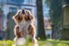 Cyprus Vets Protest Ban on Animal Cancer Medications