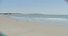 Environmental group urges action to reduce bacteria levels at local beaches