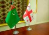 The President of Turkmenistan and the Prime Minister of Georgia held talks