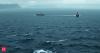 Bass Strait Triangle: Inside Australia’s own Bermuda Triangle of Lost aircraft, missing ships, and maritime myths