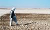 UN warns worsening drought threatens farming in half of Afghanistan