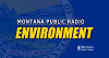 Environmental group says state's review of Laurel power plant impacts falls short