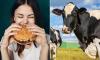 Brits should only eat a burger once every 2 WEEKS to save the planet, climate scientist claims