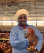 Gambian avian expert awarded highest alumni honor at Cornell's Vet College