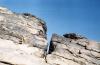 10,000-Year-Old Rock Engravings Discovered in Libya