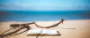 Science|Business summer reads of 2025
