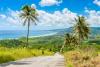The 11 best things to do in Barbados