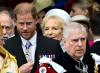 Princes Harry, Andrew will keep their titles when William is King: source