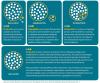 Education For Children With Disabilities: Inclusion, Integration, Or Segregation? — The OKU Rights Matter Project