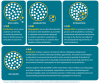 Education for children with disabilities: inclusion, integration, or segregation?