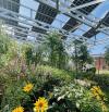 Researchers highlight importance of site-specific agrivoltaics design