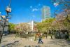 Higher education shock: Sorbonne University ends medical student admissions from Uni.lu