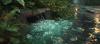 EPA Orders Developers in Puerto Rico to Halt Stormwater Pollution at Rincón Housing Site