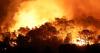 world Massive French wildfire now contained, 16,000 hectares affected, local authorities say