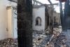 Could Cyprus follow Catalonia’s ‘goat project’ to combat wildfires?