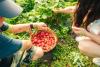 MENDELU Experts Promote International Sharing of Knowledge About Short Food Chains