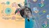 Scientist to hold lecture on disease affecting sea turtles