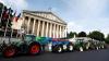 France's top constitutional court rejects return of bee-kill...
