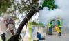 Global epidemic alarm as China virus spreads to new country in record-shattering outbreak
